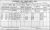 1911 Irish Census