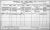 1911 Cork Census