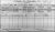 1911 Dublin Census