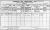 1911 Dublin Census