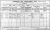 1911 Dublin Census