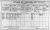 1911 Dublin Census 