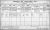 1911 Irish Census