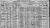 1920 USA Census