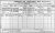 1911 Wexford Census