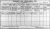 1911 Dublin Census