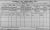 1911 Dublin Census