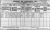 1911 Roscommon Census