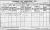 1911 Dublin Census